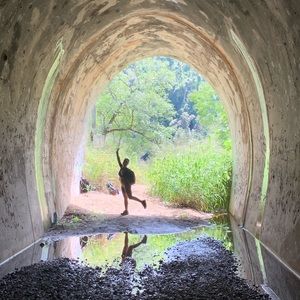 Meet your Posher, Bronte